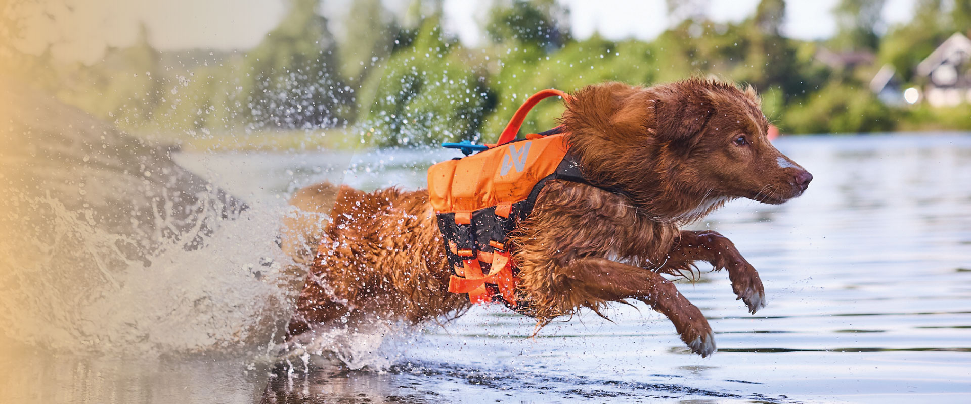 Non-Stop-Dogwear-protect-life-jacket-banner-2