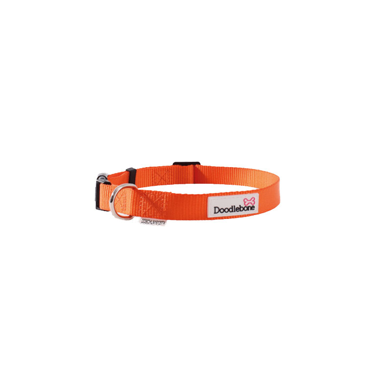 Doodlebone Bold Halsband Orange