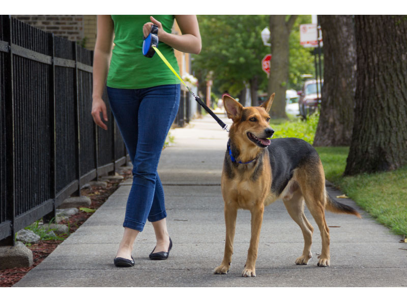 Smart Leash Rollijn Zwart