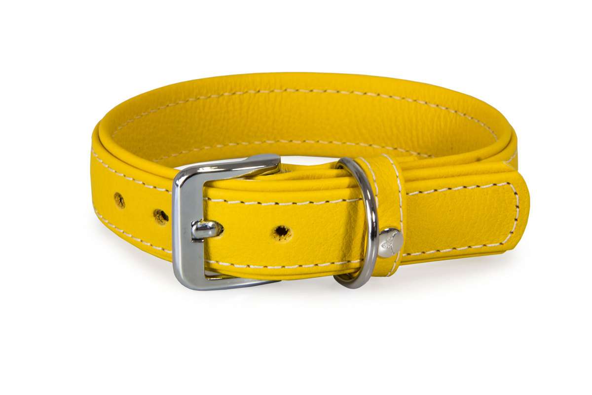 Das Lederband Halsband Barcelona, Vibrant-Yellow