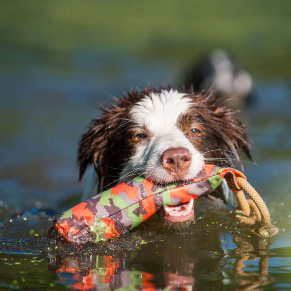 Major Dog Buoy Large