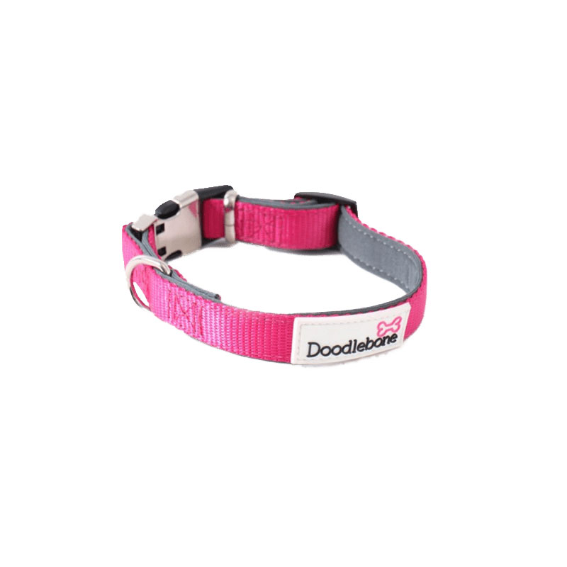 Doodlebone Bold Collar Neon Pink Padded