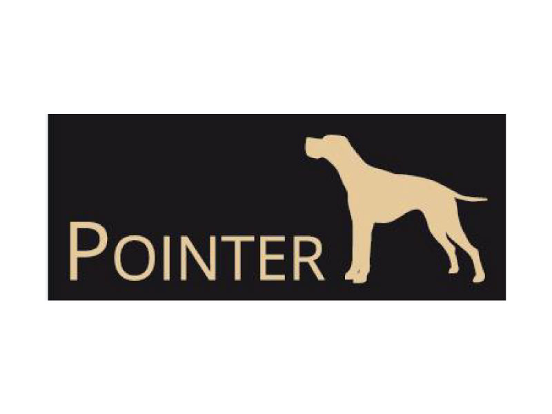 Pointer