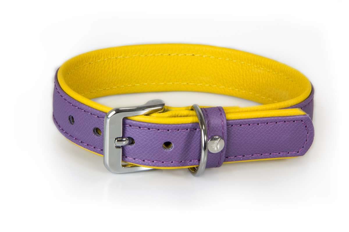 Das Lederband Halsband Firenze Lilac / Sunshine