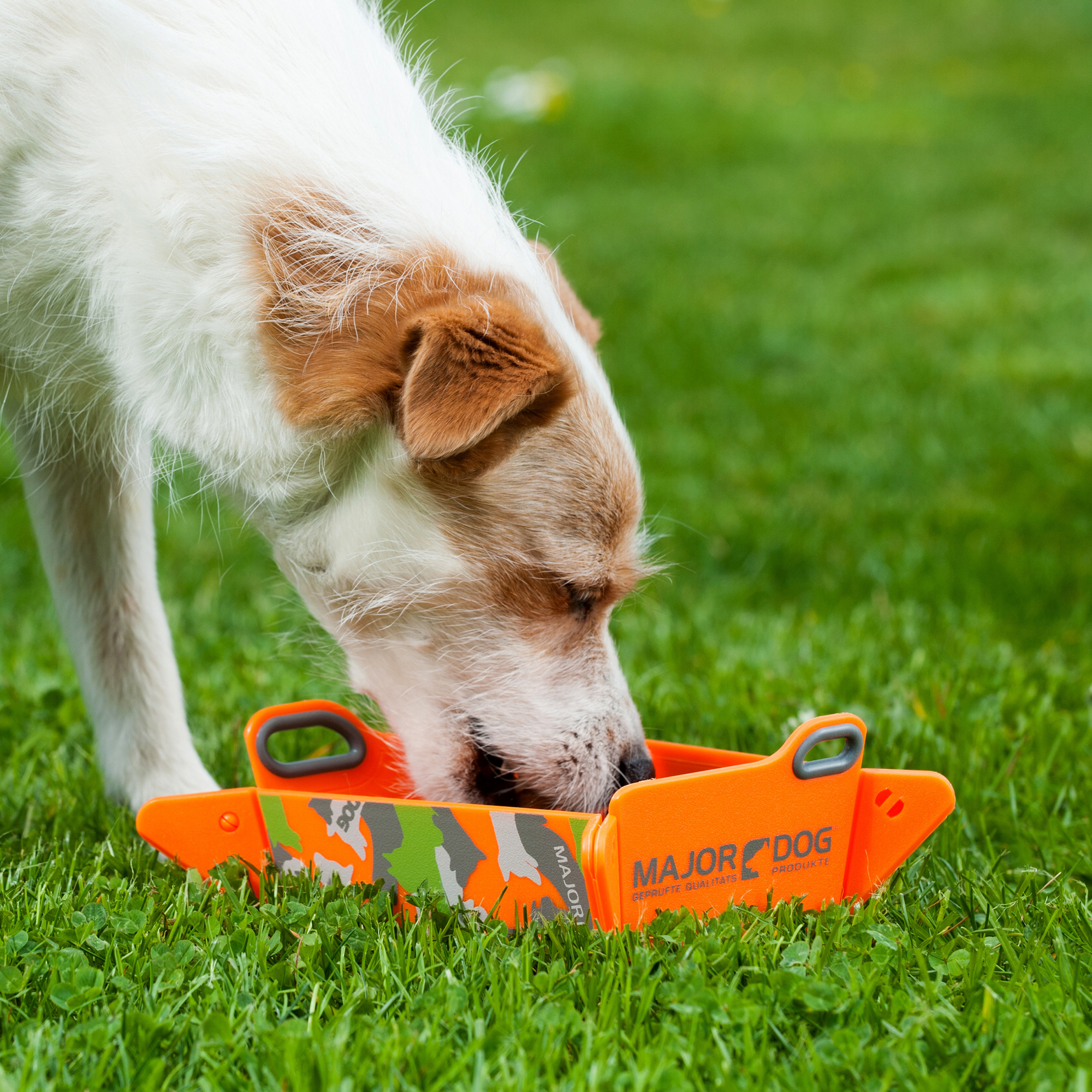 Major Dog Dolging Food Bowl