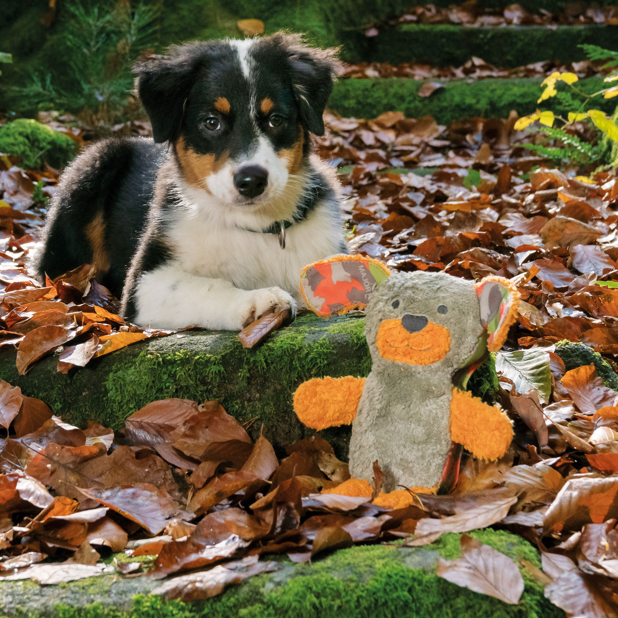 Major Dog Waldi with Plush